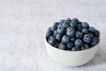 Fresh blueberries in a white ceramic bowl on a light gray crackle background