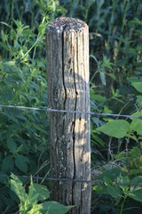 Fence Post