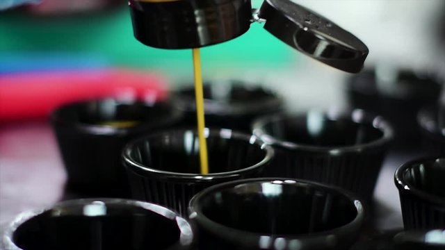 Quesadilla Making Process in slow motion and normal shot