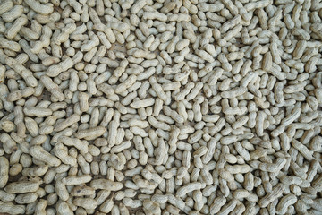 Peanut dried texture food background.