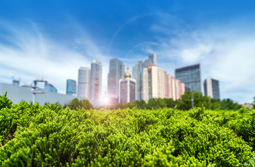 Fototapeta premium Qingdao Cityscape, China