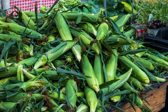 Pile of corn in display at farmers market in Chicago Loop