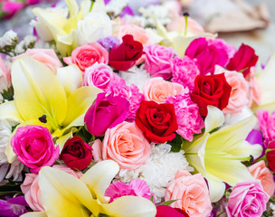 pink and white roses