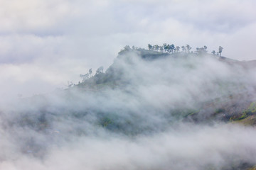 Morning mist at Phu Tubberk, Thailand