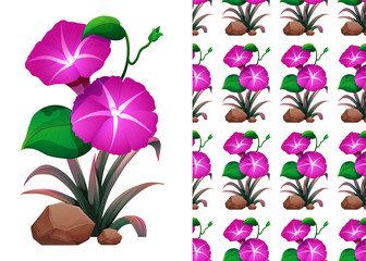 Seamless background design with pink morning glory flowers