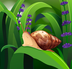 Nature scene with snail on green leaf