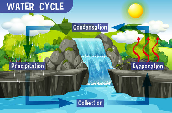 Water Cycle Process On Earth - Scientific