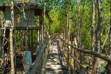 Philippines,Siquijor, Guiwanon Spring Park