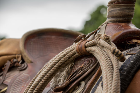 Saddle and Lasso