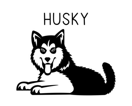 Husky vector illustration in black and white 