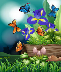 Nature scene with butterfly and iris flowers