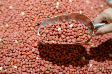 close up on raw red peanuts for sale at the market