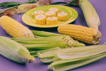 A plate with corn on a purple background.