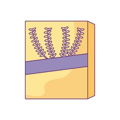 box of cereal isolated icon