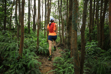 Obraz premium Ultramarathon runner running in tropical rainforest