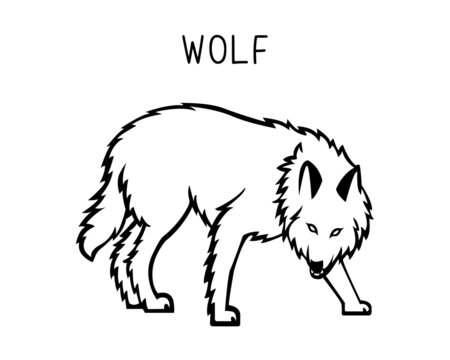 wolf vector illustration. Design can be used as tattoos, decal, stencil, vinyl, t-shirt printing etc
