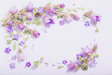 Fototapeta na wymiar beautiful spring flowers on purple background