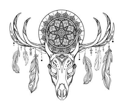 Ethnic illustration of a deer skull with a tracery dream catcher and feathers. Mystic Totem. Black and white vector picture for tattoo sketches, printing on t-shirts, cups and your design.