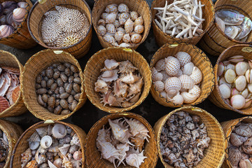 Sea shells in baskets. Street sale of souvenirs. Background.