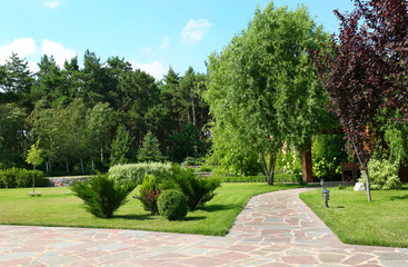 Picturesque landscape with beautiful green garden on sunny day