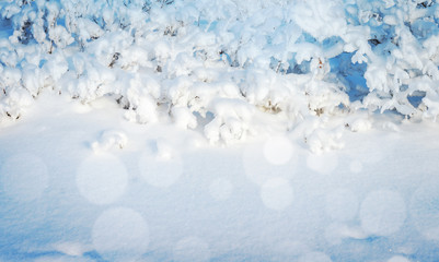 Winter natural shiny blurred background in light colors. Christmas New Year holiday  background