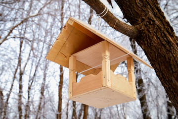 Beautiful feeder for bird in winter forest