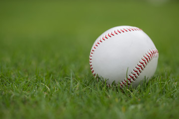 Baseball ball on the green lawn
