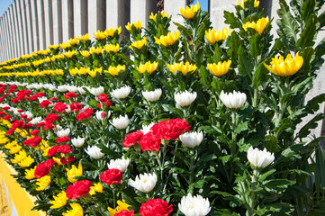 太平洋戦全国空爆犠牲者追悼平和祈念式