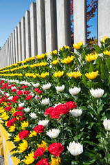 Fototapeta premium 太平洋戦全国空爆犠牲者追悼平和祈念式