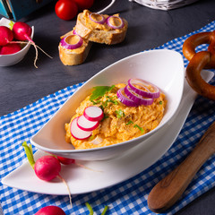 The perfect Bavarian obazda with radishes and onions