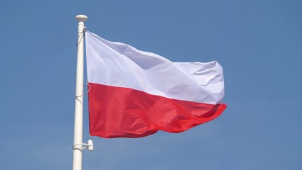 Polish flag in 4K slow motion 60fps