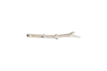 Single dry tree branch. Boho image of stick isolated on white background