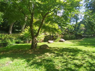 jardin japonais