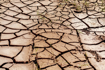 Crack earth, Crack soil on dry season, Global worming effect background