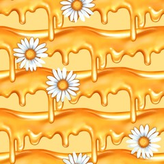 Seamless dripping honey pattern and white chamomiles