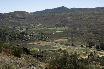 Fototapeta na wymiar Green valley landscape with clear sky