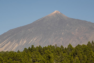 Fototapeta premium Lonely mountain peak with evergreen forest