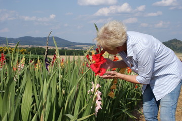 The blond woman is thrilled by the beautiful red flower of the gladiolus 