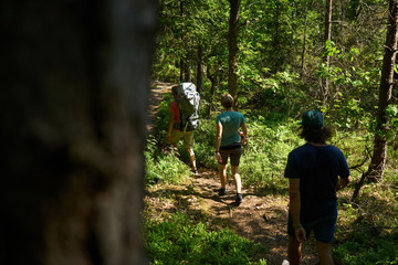 Fototapeta premium Wanderpfad im Wad von Norwegen