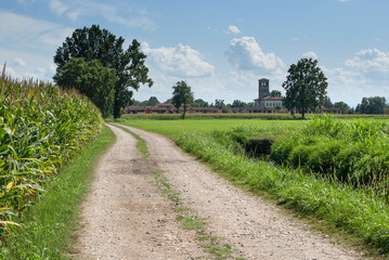 Fototapeta na wymiar paesaggio di campagna in estate