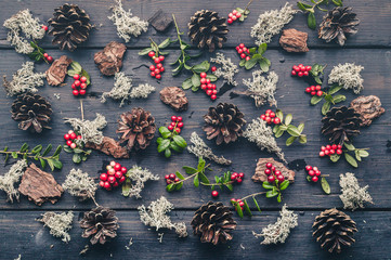 Christmas pattern with lingonberry berries, gray moss, cones and pine bark on a dark rustic background.