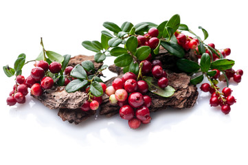 Ripe lingonberry berries on a white background. Isolated autumn composition