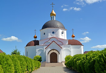 The temple in honor of the Saint Reverend Alexander Svirsky. Sacred and Elisavetinsky convent....