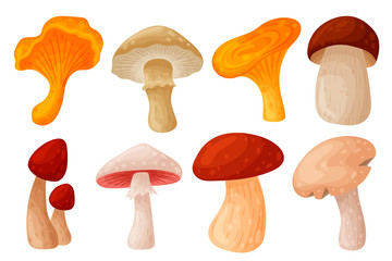 Set of colorful fresh autumn wild forest mushrooms. Cartoon flat style silhouettes icons. Great autumn design concept elements. Vector illustration.