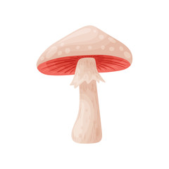 Colorful fresh autumn wild forest mushroom. Cartoon flat style silhouettes icons. Great autumn design concept elements. Vector illustration.