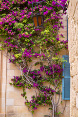 Street Scene from Mdina, Malta - The Silent City