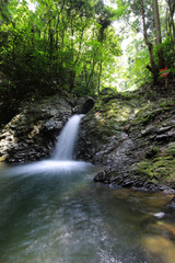 Obraz premium 愛媛県大洲市 白滝公園 都の滝