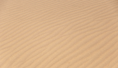 Fototapeta na wymiar Seamless texture and background of the sand 