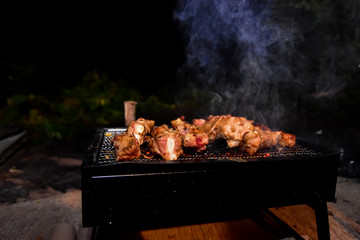 Camping and grill various meats
