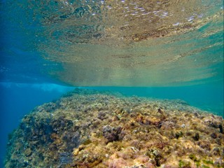 Crystal clear waters of the Mediterranean